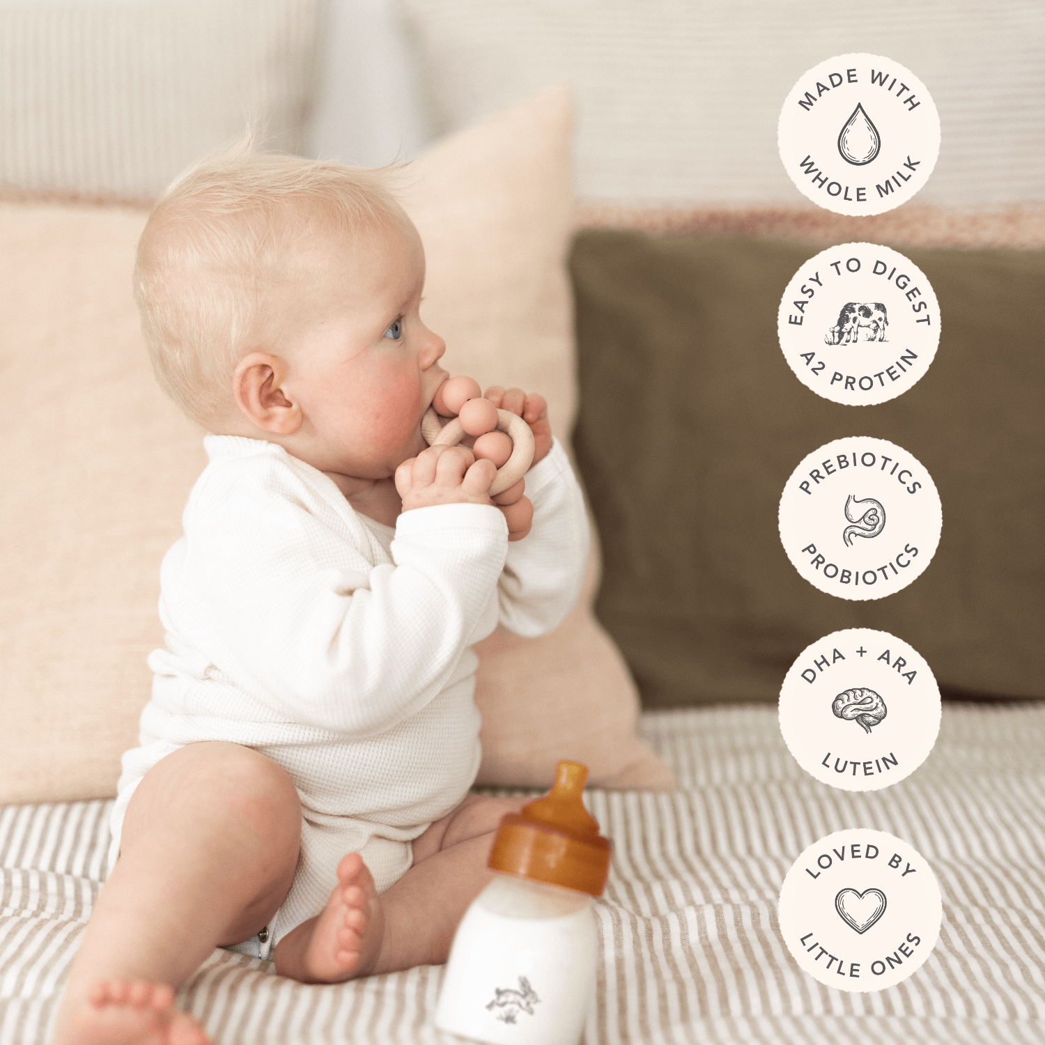 NEW ~ Haven A2 Cow Infant Formula
