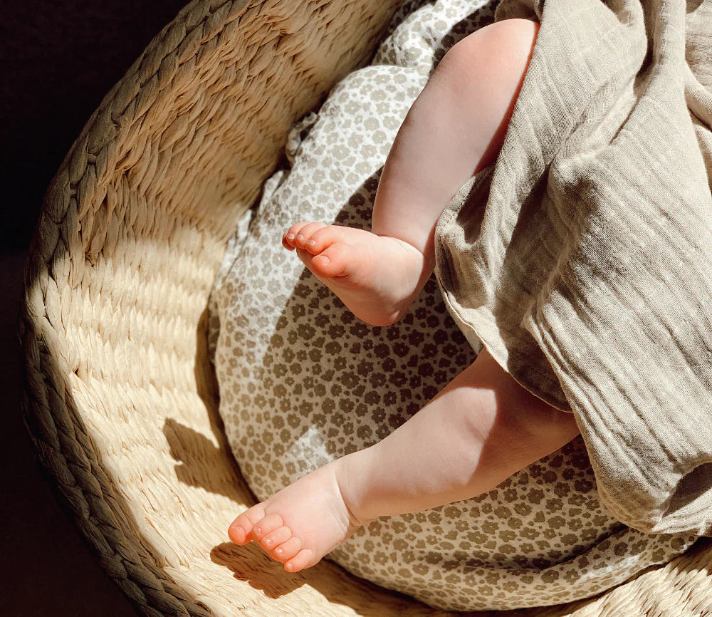 Infant 0 - 6 Months
