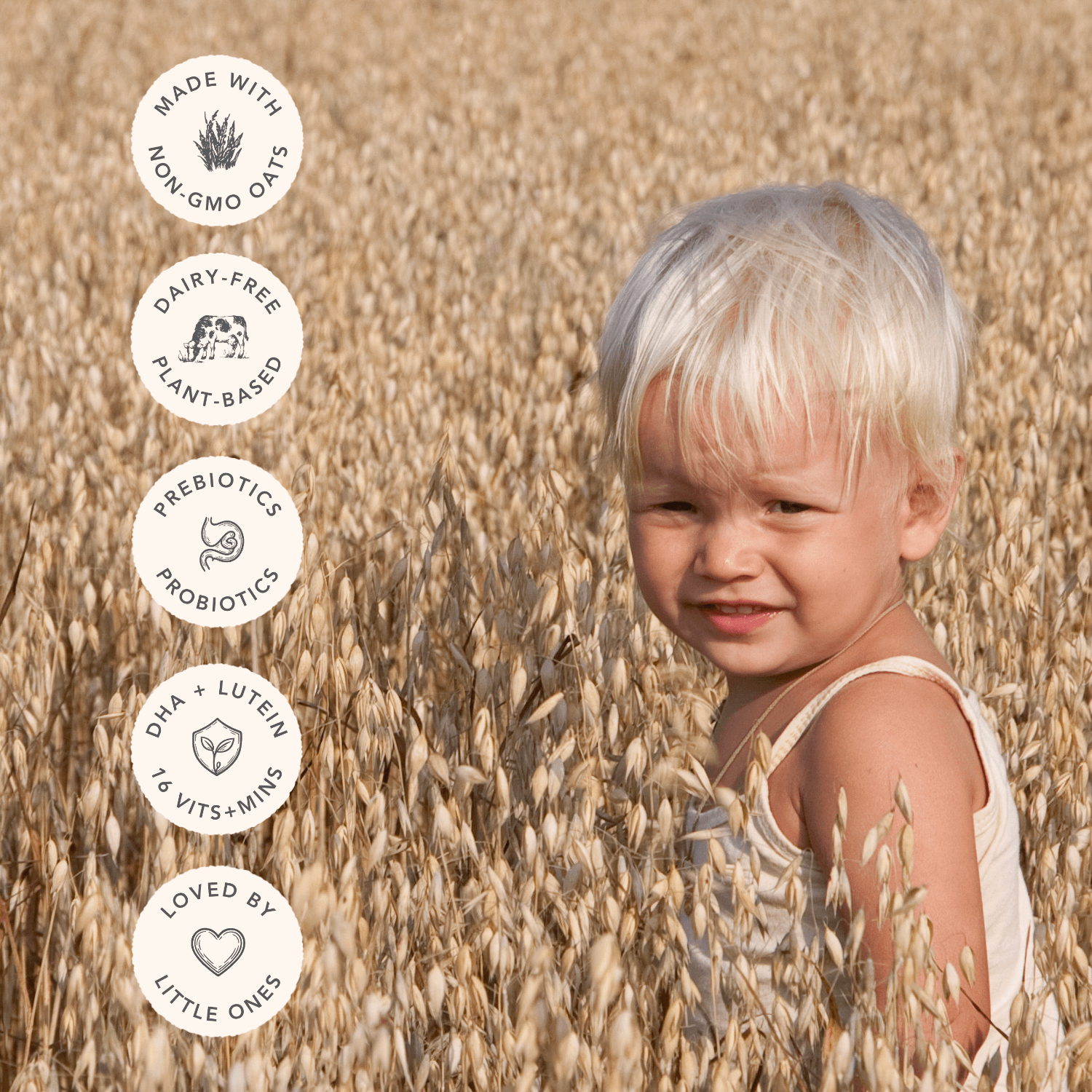 Haven Oat Toddler Drink